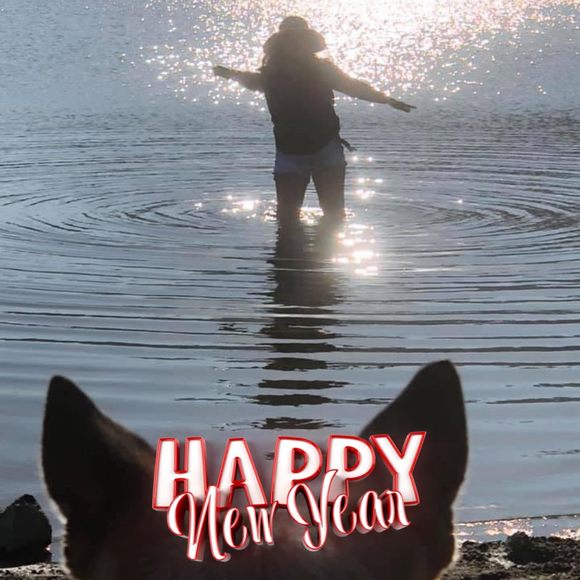 Poshmark profile picture for @merely
